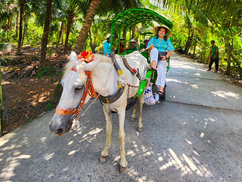 Trải nghiệm đi xe ngựa trên đường làng